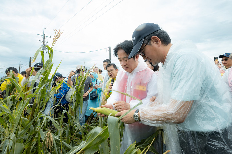 賴總統赴雲林視察農作災損情形 期盼不分朝野黨派共同協助農民儘速復耕