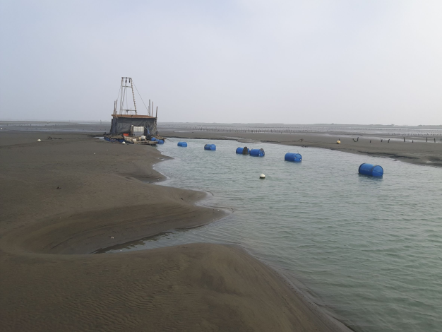 南市府緊急搶修七股潟湖沙洲並推動短中長期復育計畫 有效減緩侵蝕退縮